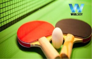 Cược Bóng Bàn W88 - Cách Chơi Kèo Đơn Giản 3 Hướng Dẫn Cược Bóng Bàn W88 Từ Dân Chơi Chuyên Nghiệp
