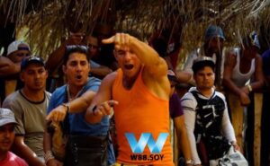 Giống Đá Gà Chọi Cuba là gì, một số đặc điểm nhận biết về giống gà này