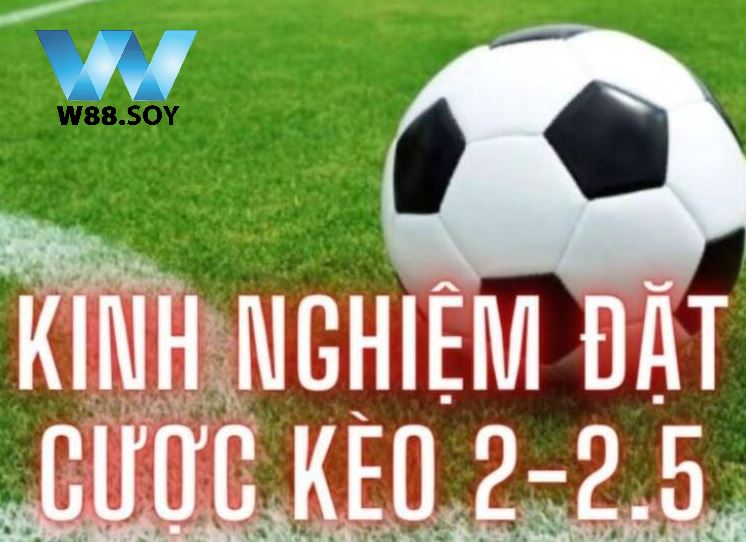 Kèo Chấp 2 1/4 Đến W88 Cá Cược Siêu Cấp Hấp Dẫn 3 Kinh nghiệm chơi kèo 2 1/4 W88