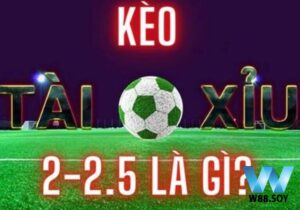 Kèo Chấp 2 1/4 hấp dẫn