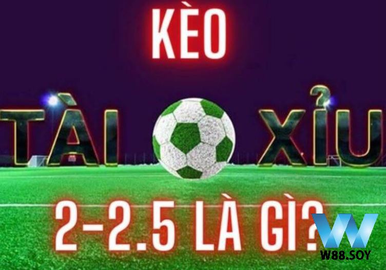Kèo Chấp 2 1/4 Đến W88 Cá Cược Siêu Cấp Hấp Dẫn 2 Kèo Chấp 2 1/4 hấp dẫn